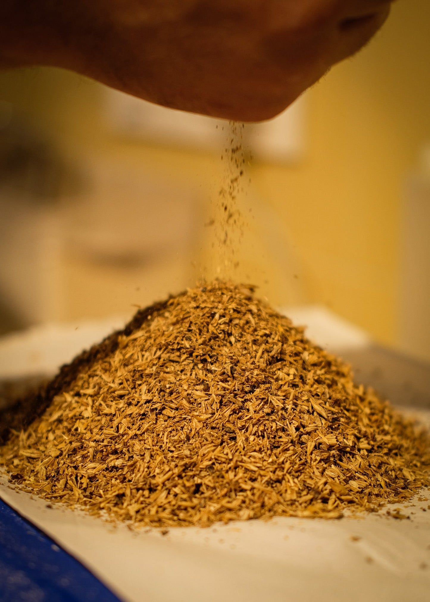 BEER BREAD | PAN REFU hecho con BAGAZO - REFU FÁBRICA ALTERNATIVA